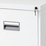 2 and 4 Drawer Filing Cabinet