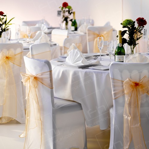Chairs for Every Event